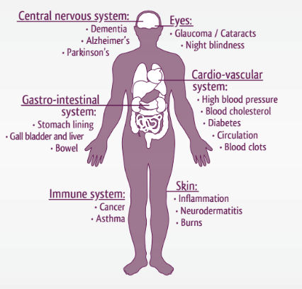 Meet the Aronia Berry: A North-American Fruit rich in Antioxidants | J ...